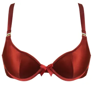 Silk push-up bra